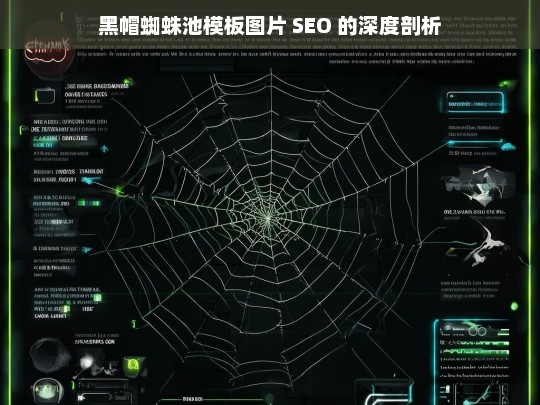 黑帽蜘蛛池模板图片 SEO 的深度剖析，黑帽蜘蛛池模板图片与 SEO 深度剖析