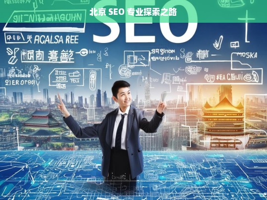 北京 SEO 专业探索之路，北京 SEO 专业探索历程