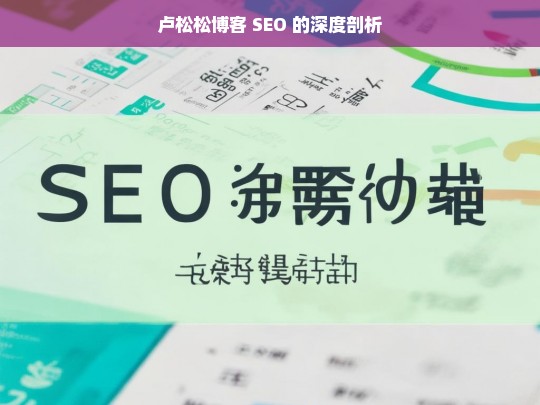 卢松松博客 SEO 的深度剖析，卢松松博客 SEO 深度剖析