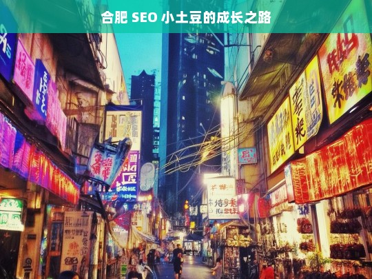 合肥 SEO 小土豆的成长之路，合肥 SEO 小土豆成长记