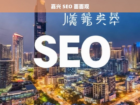 嘉兴 SEO 面面观，嘉兴 SEO 面面观，探索优化之道