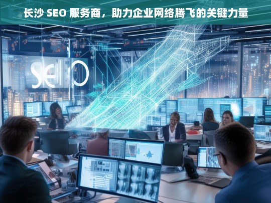 长沙 SEO 服务商，助力企业网络腾飞的关键力量，长沙 SEO 服务商，企业网络腾飞的关键助力