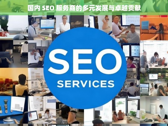 国内 SEO 服务商的多元发展与卓越贡献，国内 SEO 服务商的发展与贡献