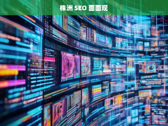 株洲 SEO 面面观，株洲 SEO 面面观，探索株洲搜索引擎优化之道