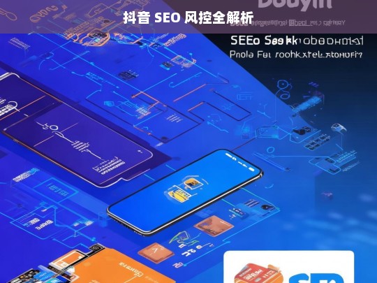 抖音 SEO 风控全解析，抖音 SEO 风控解析