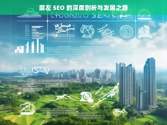 崇左 SEO 的深度剖析与发展之路，崇左 SEO，深度剖析与发展探索