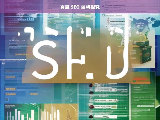 百度 SEO 盈利探究，百度 SEO 盈利之析