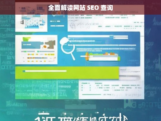 全面解读网站 SEO 查询，全面解读网站 SEO 查询之析