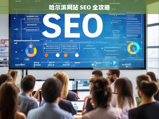 哈尔滨网站 SEO 全攻略，哈尔滨网站 SEO 攻略