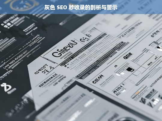 灰色 SEO 秒收录的剖析与警示，灰色 SEO 秒收录，剖析与警示