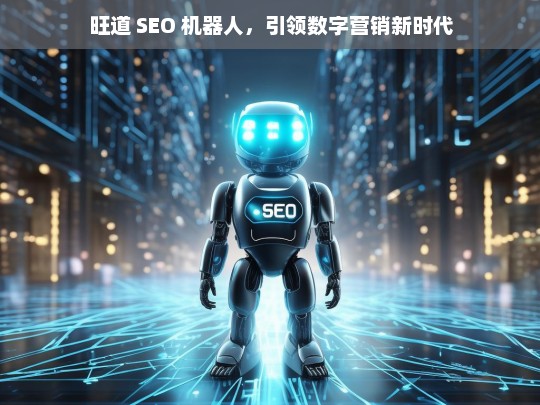 旺道 SEO 机器人，引领数字营销新时代，旺道 SEO 机器人开启数字营销新时代