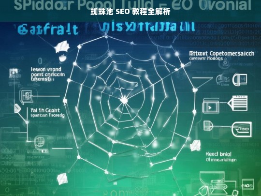 蜘蛛池 SEO 教程全解析，蜘蛛池 SEO 教程解析