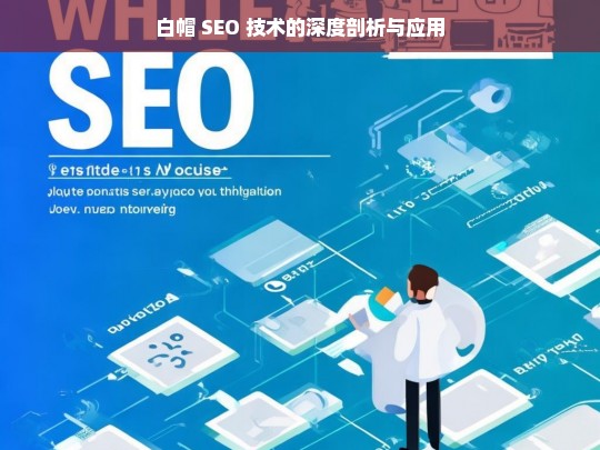 白帽 SEO 技术的深度剖析与应用，白帽 SEO 技术的剖析与应用探究