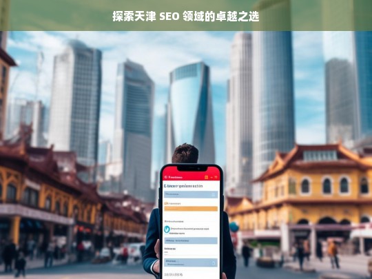 探索天津 SEO 领域的卓越之选，天津 SEO 领域探索，寻找卓越之选