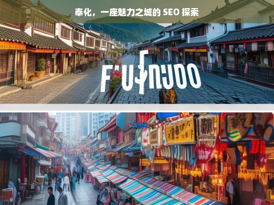 奉化，一座魅力之城的 SEO 探索，奉化，魅力之城的 SEO 探索之旅