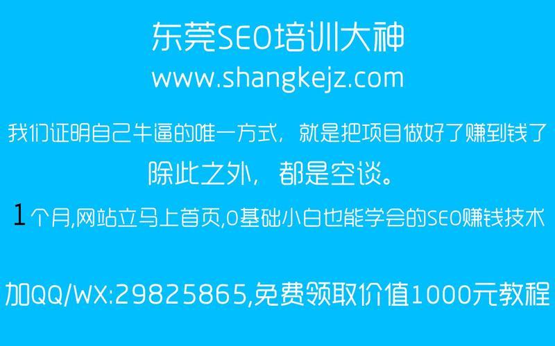 seo黑帽多久能学会怎么样(seo黑帽培训骗局)